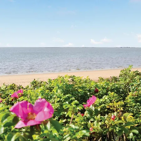 Nyaraló 3 Bedroom In V